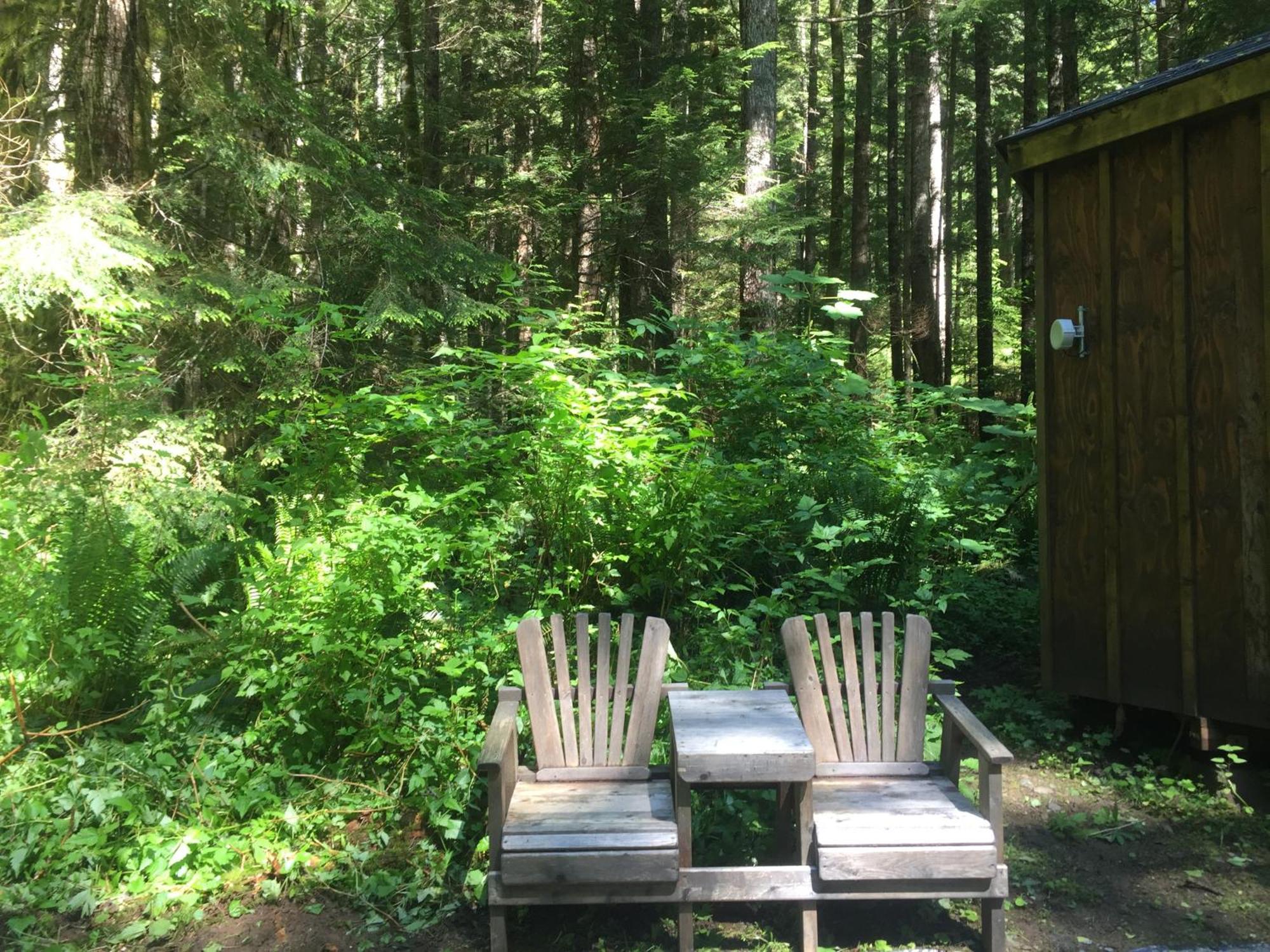 Alexander'S Lodge Ашфорд Екстериор снимка